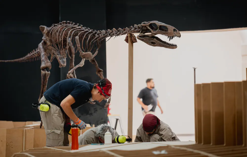 Esqueleto de dinosaurio sobre su base en una sala, con técnicos del montaje trabajando